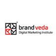 brandveda-logo